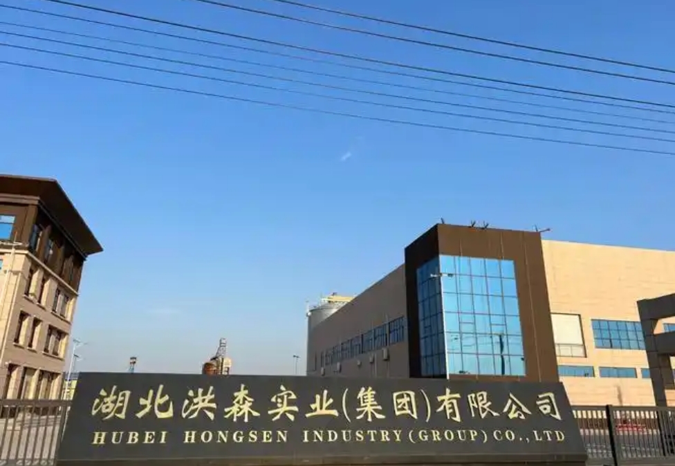 湖北洪森实业（集团）有限公司